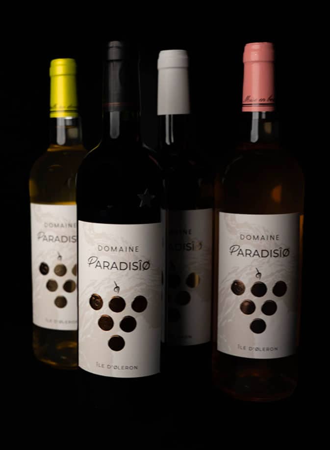 Les 4 bouteilles des vins du Domaine Paradisio à Dolus d'Oléron